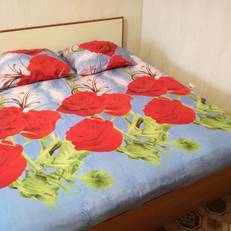 Apartment COMFORT on Kuibyshev Street