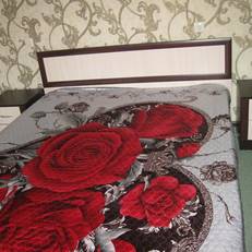 Apartment Moskovskiy 110i