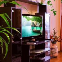 Apartment Olomoutskaya 44