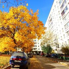 Apartment na Lenina