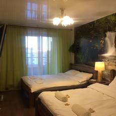 Apartment on Tsentralnaya 19