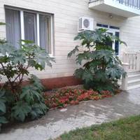 Guest house Pontiyskaya 16