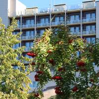 Lada-Resort