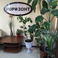 Hotel Gorizont