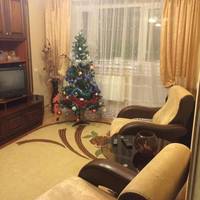 Apartment On Tsentralnaya