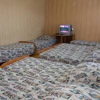 Hostel Molodezhnaya