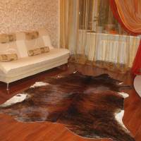 Apartment on Proletarskaya