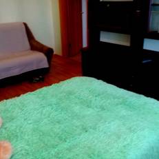 Apartment Sevastopolskaya 78