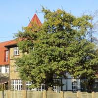 Guest House Blizhnie Dubki