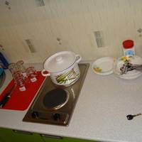 Apartment Novokosyno