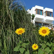True Blue Pansiyon Karaburun