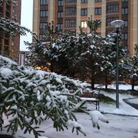 Apartments on Derzhavina 47