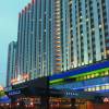 Izmailovo Delta Hotel
