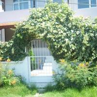 AE2 Guesthouse
