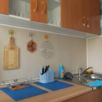 Apartment on prospekt Pobedy