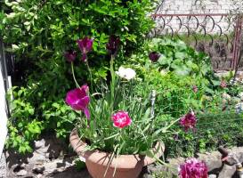 Belye Skaly Guest House
