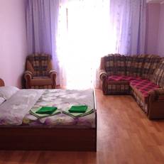 Apartment Chelyuskintsev 23