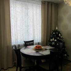 Apartment Zelenaya 33