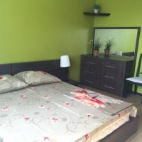 Apart-Hotel Novokurkino