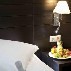 Hotel Gold Shark