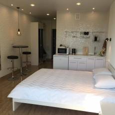 Apartment Studio Loft