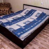 Apartment Moskovskiy 19