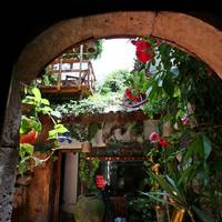Antique Celtik House Natural