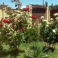 Na Shosseinoy Guest House