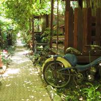 Olympos Natural Pansiyon
