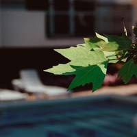 Mini-hotel Platan