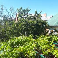 Guest House on Partizanskaya