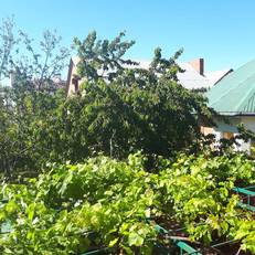 Guest House on Partizanskaya