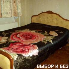 Apartment na Novgorodskom