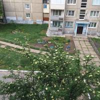 Lounge apartments at Karla-Marksa 55, 88 kvartal, dom 7