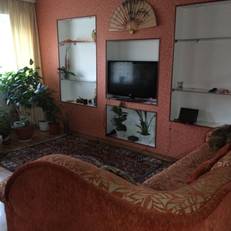 Biznes Apartment