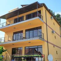 Amosov's House