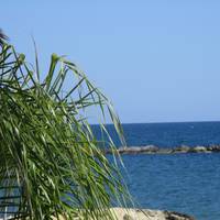 Galatex Beach Studio