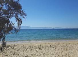 Depis Plaka Naxos