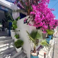 Doron Hotel Delfini