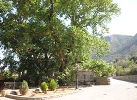 GuestHouse Iris