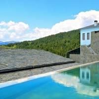 Grand Forest Metsovo