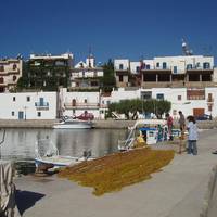 Τhe White Houses