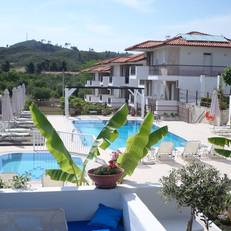 Ampelia Studios