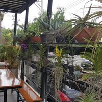 Ricco Residence Suvarnabhumi