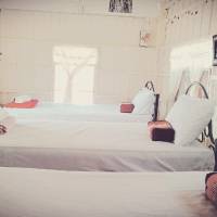 ThaiMex Cafe & Homestay