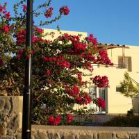 CrossRhodes Villas