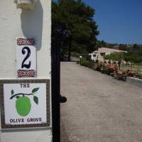 The Olive Grove