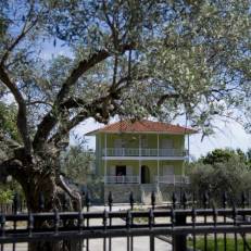 Villa Anna