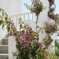 Korali Hotel and Apartments