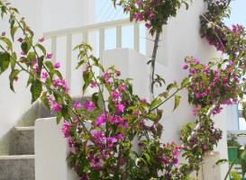 Korali Hotel and Apartments